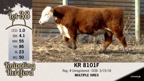 Lot #38 - KR 8101F