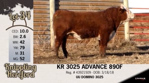 Lot #34 - KR 3025 ADVANCE 890F