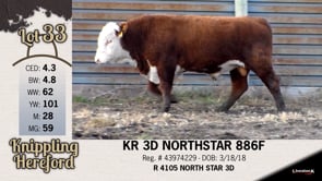 Lot #33 - KR 3D NORTHSTAR 886F