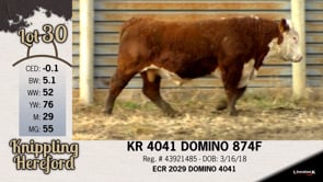 Lot #30 - KR 4041 DOMINO 874F