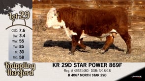 Lot #29 - KR 29D STAR POWER 869F