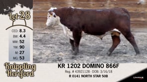 Lot #28 - KR 1202 DOMINO 866F