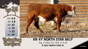 Lot #25 - KR 4Y NORTH STAR 861F