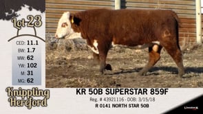 Lot #23 - KR 50B SUPERSTAR 859F