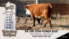 Lot #21 - KR 29D STAR POWER 855F