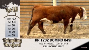 Lot #18 - KR 1202 DOMINO 849F