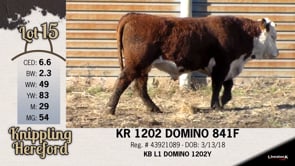 Lot #15 - KR 1202 DOMINO 841F