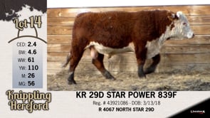 Lot #14 - KR 29D STAR POWER 839F