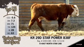 Lot #13 - KR 29D STAR POWER 838F