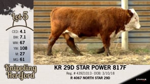 Lot #5 - KR 29D STAR POWER 817F