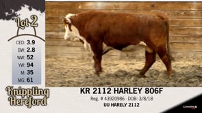 Lot #2 - KR 2112 HARLEY 806F
