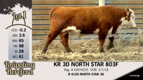 Lot #1 - KR 3D NORTH STAR 803F