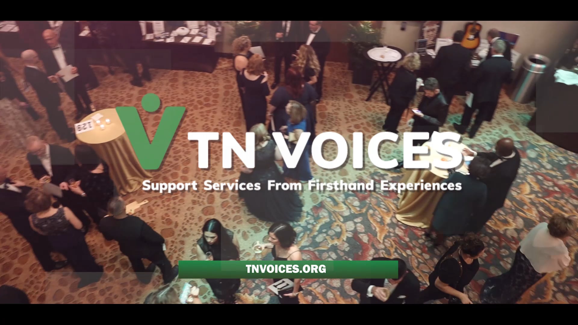 Green Ribbon Gala for TN Voices on Vimeo