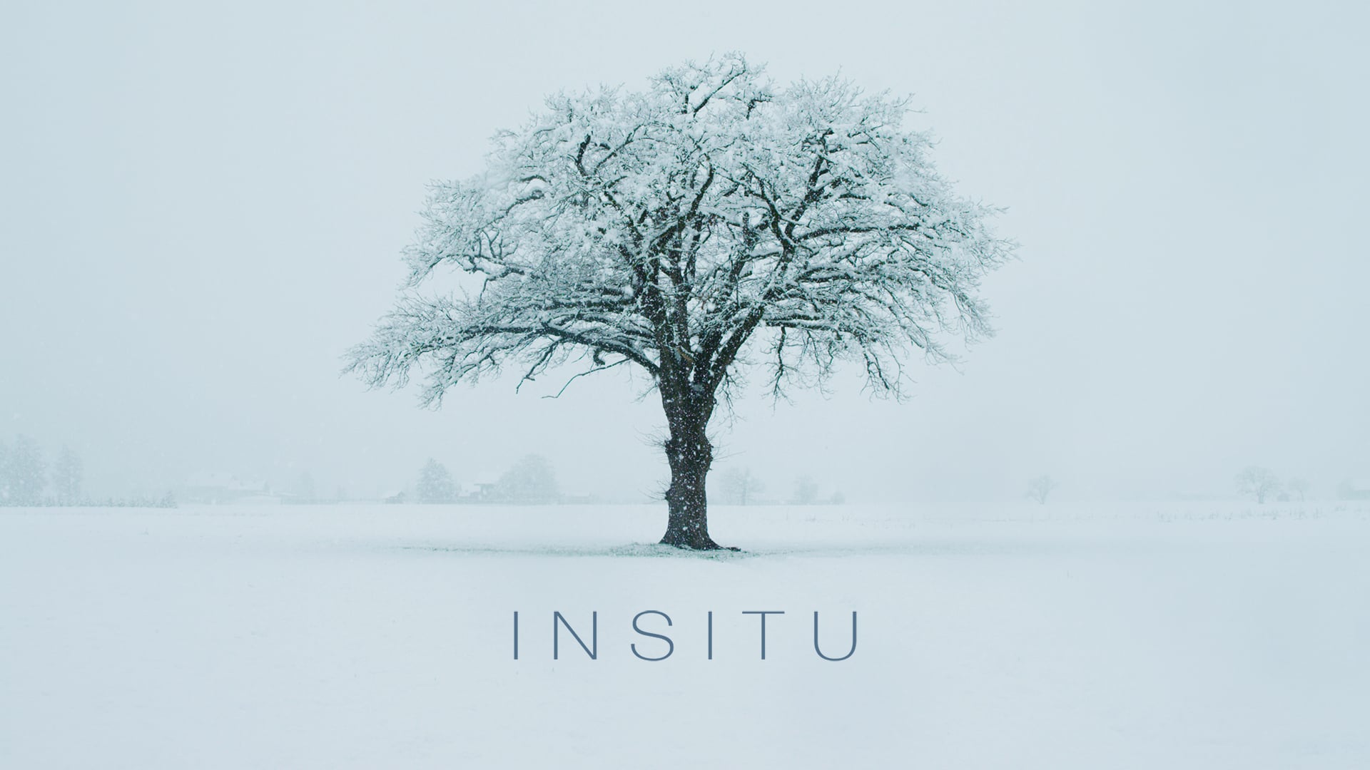 INSITU by Marion Haerty