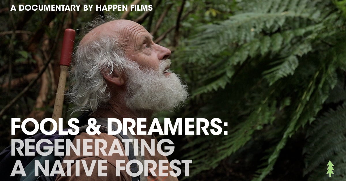 Fools & Dreamers: Regenerating a Native Forest