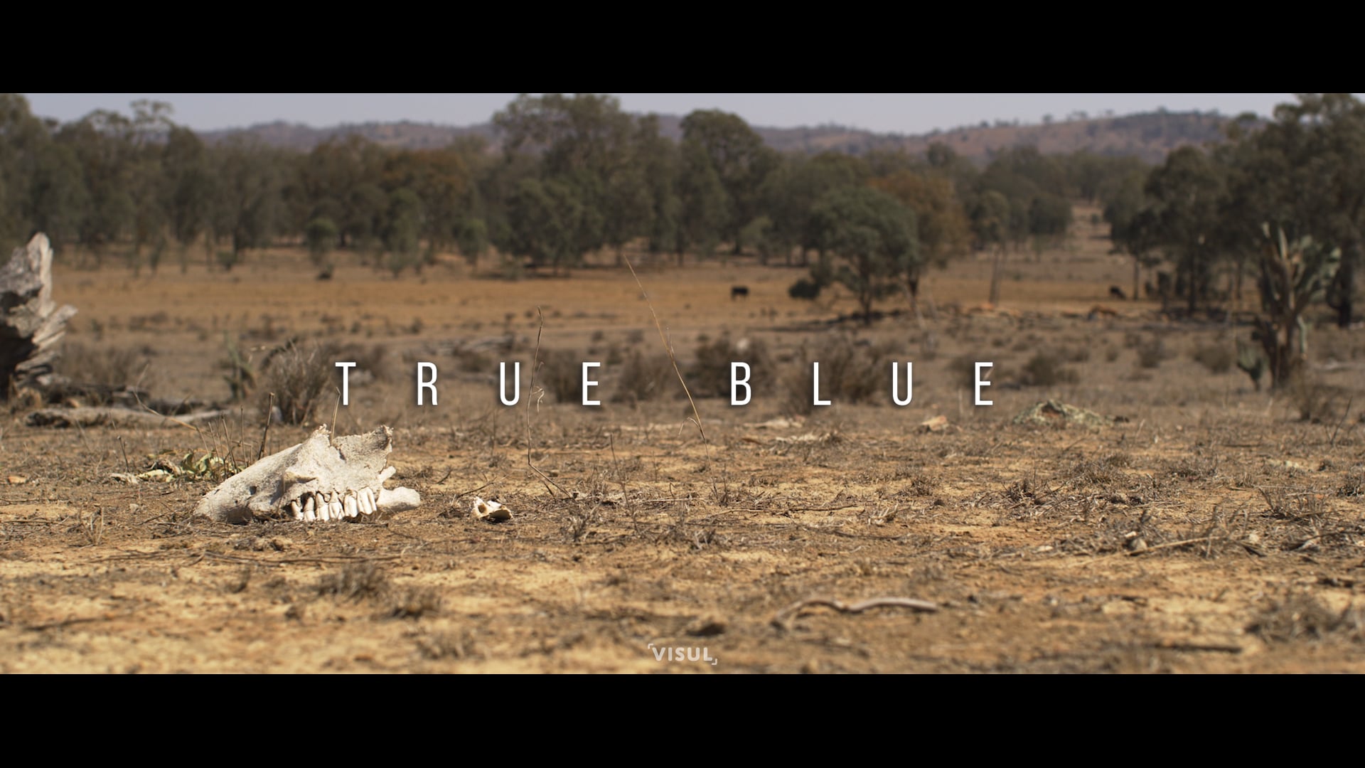 True Blue [2020]
