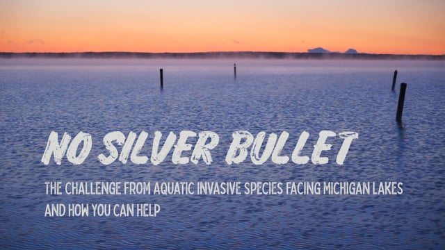 No Silver Bullet - FINAL