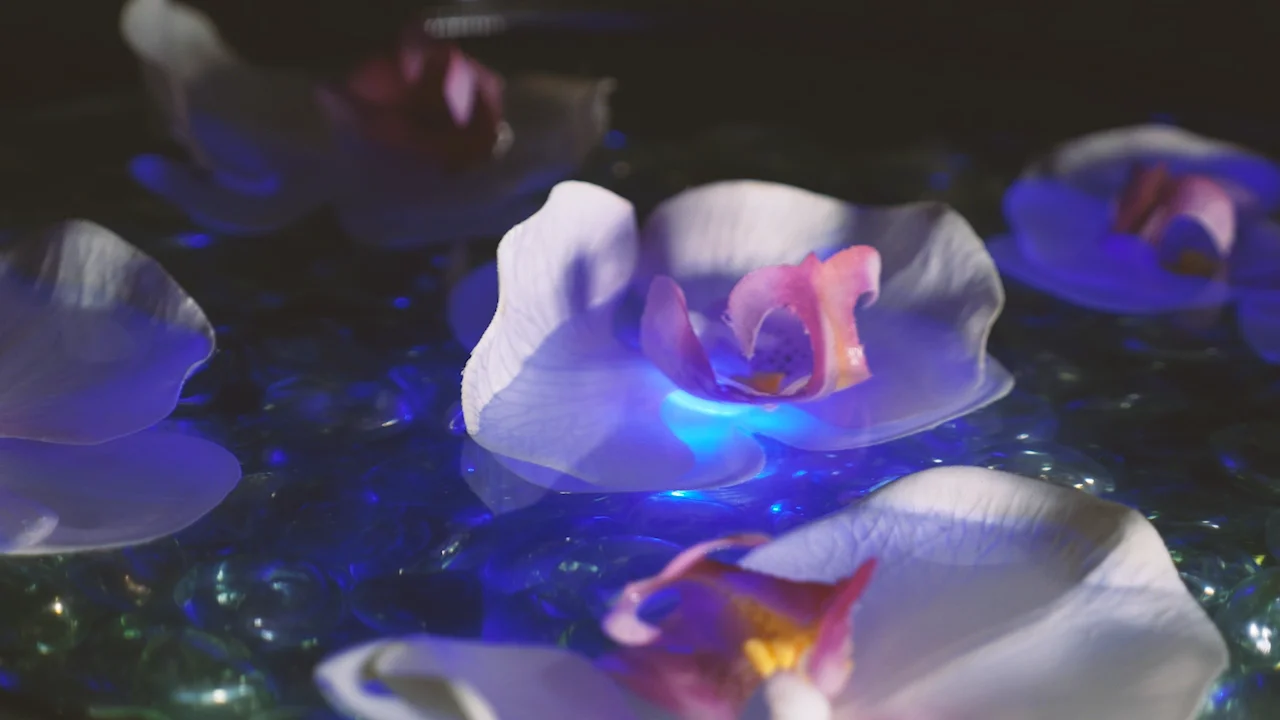 Sensual Massage Melbourne