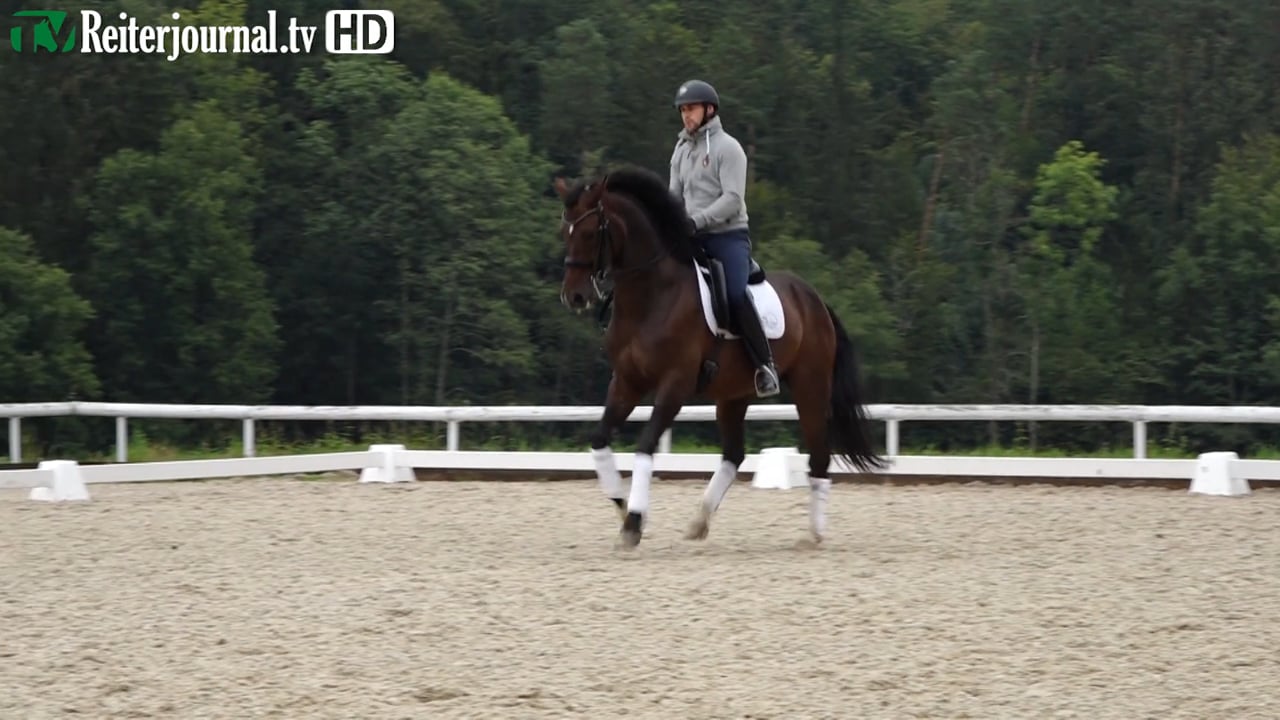 Dressuraufgaben Richtig Reiten mit Ralf Müller (Aufgabe M6) - Teil 2 von 3