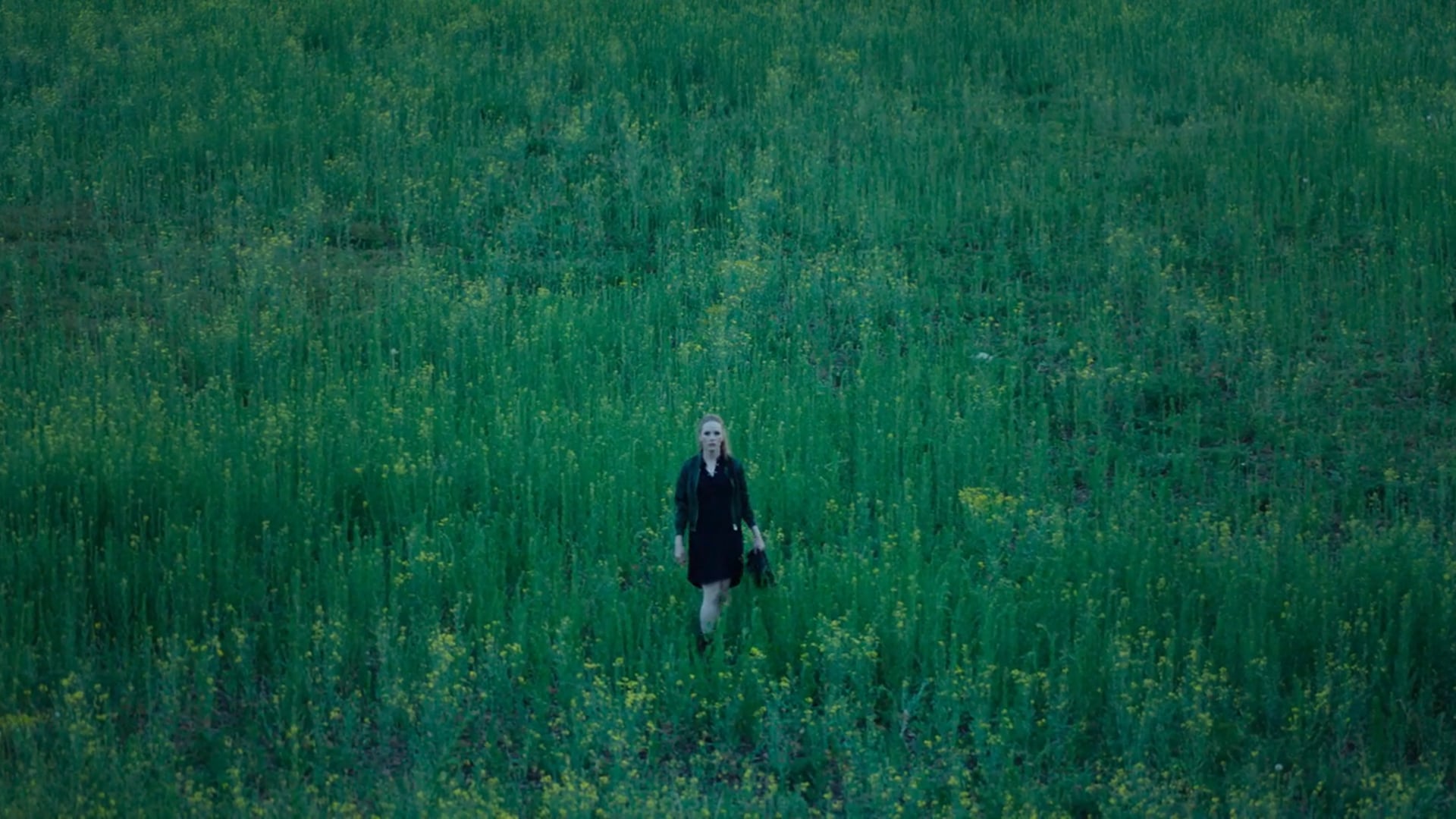 18% Grey / Official Trailer