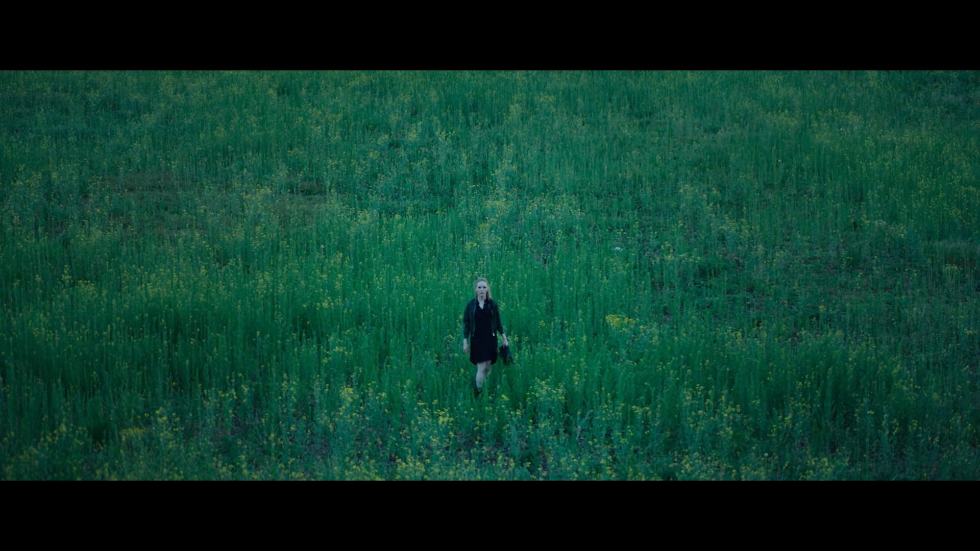18% Grey / Official Trailer