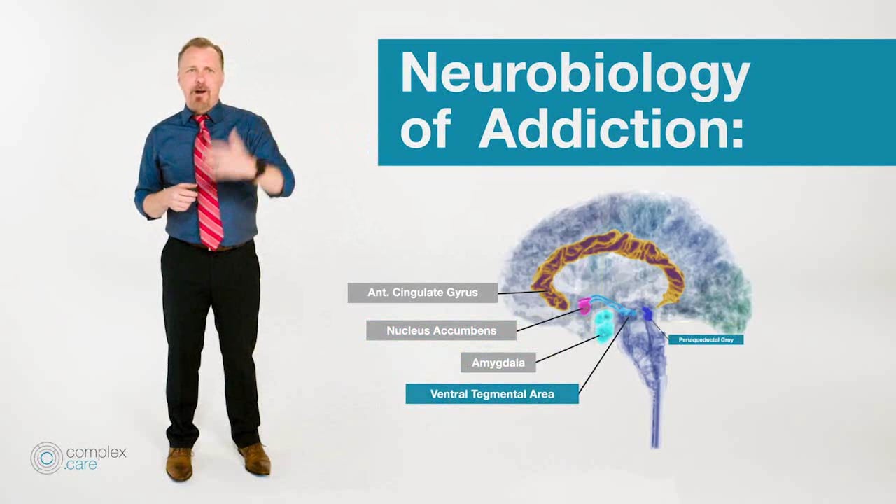 Addiction Neuroscience 101 On Vimeo