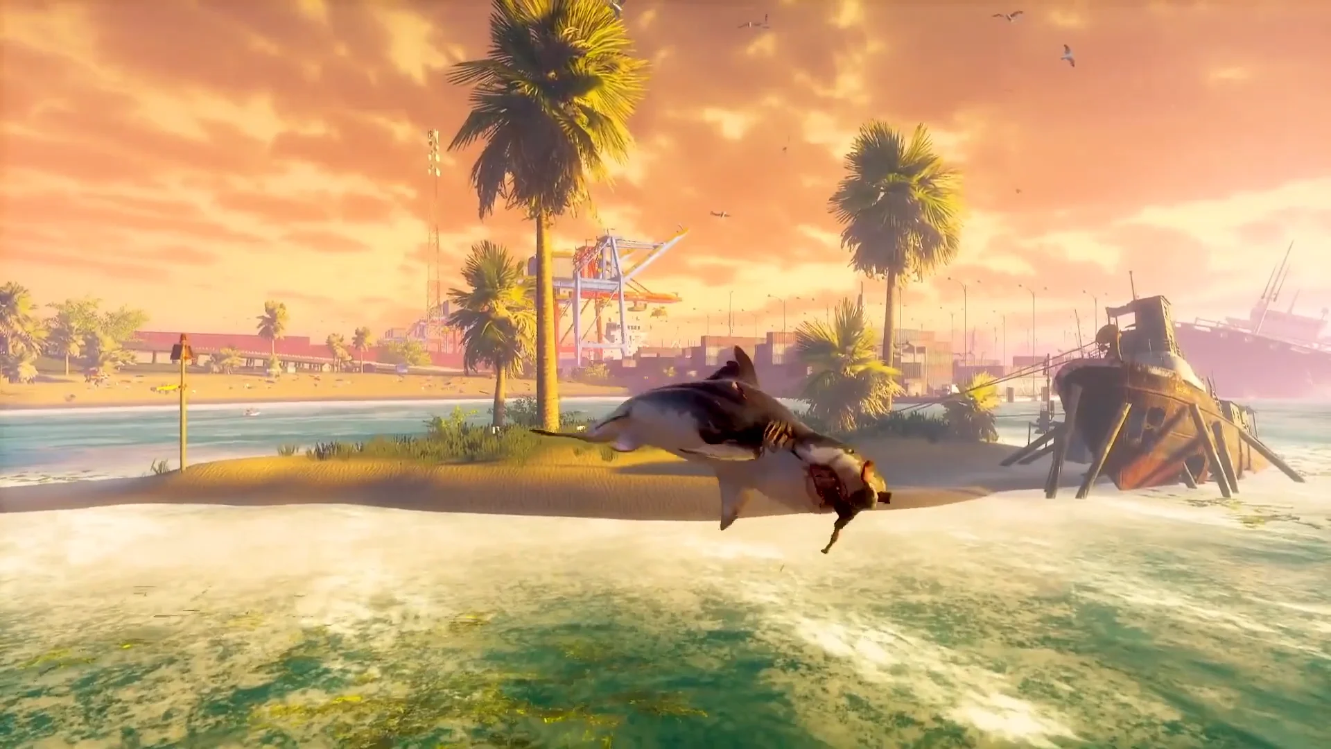 Buy Maneater PC (Steam)