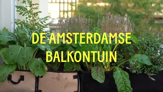 mengsel Onophoudelijk Fabrikant De Amsterdamse Balkontuin - De Gezonde Stad