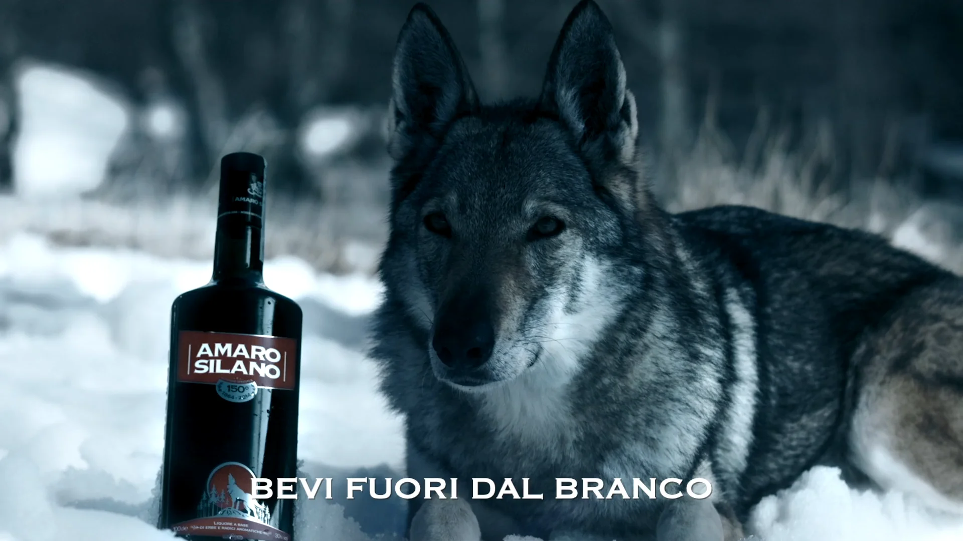 Amaro Silano - Bevi Fuori dal Branco on Vimeo