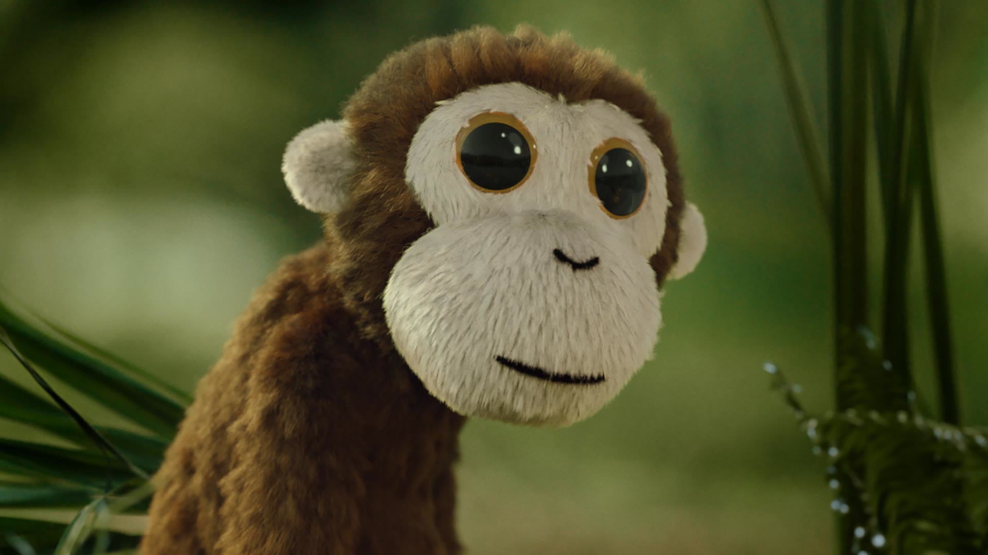 VW Monkey