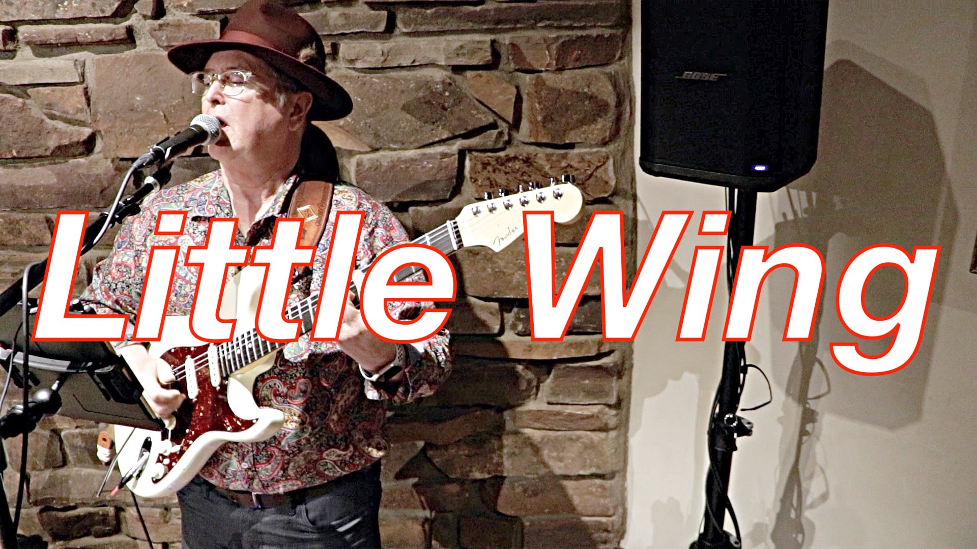 Promotional video thumbnail 13 for Walt Pitts