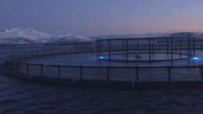 Video Preview Image