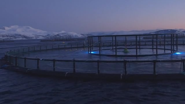 Video Preview Image