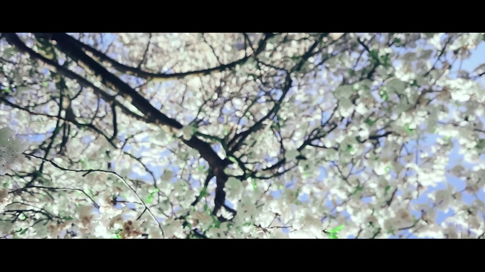 CTRL ,(feature film) -back story