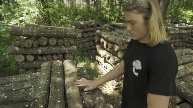 Mushroom Farming SAE