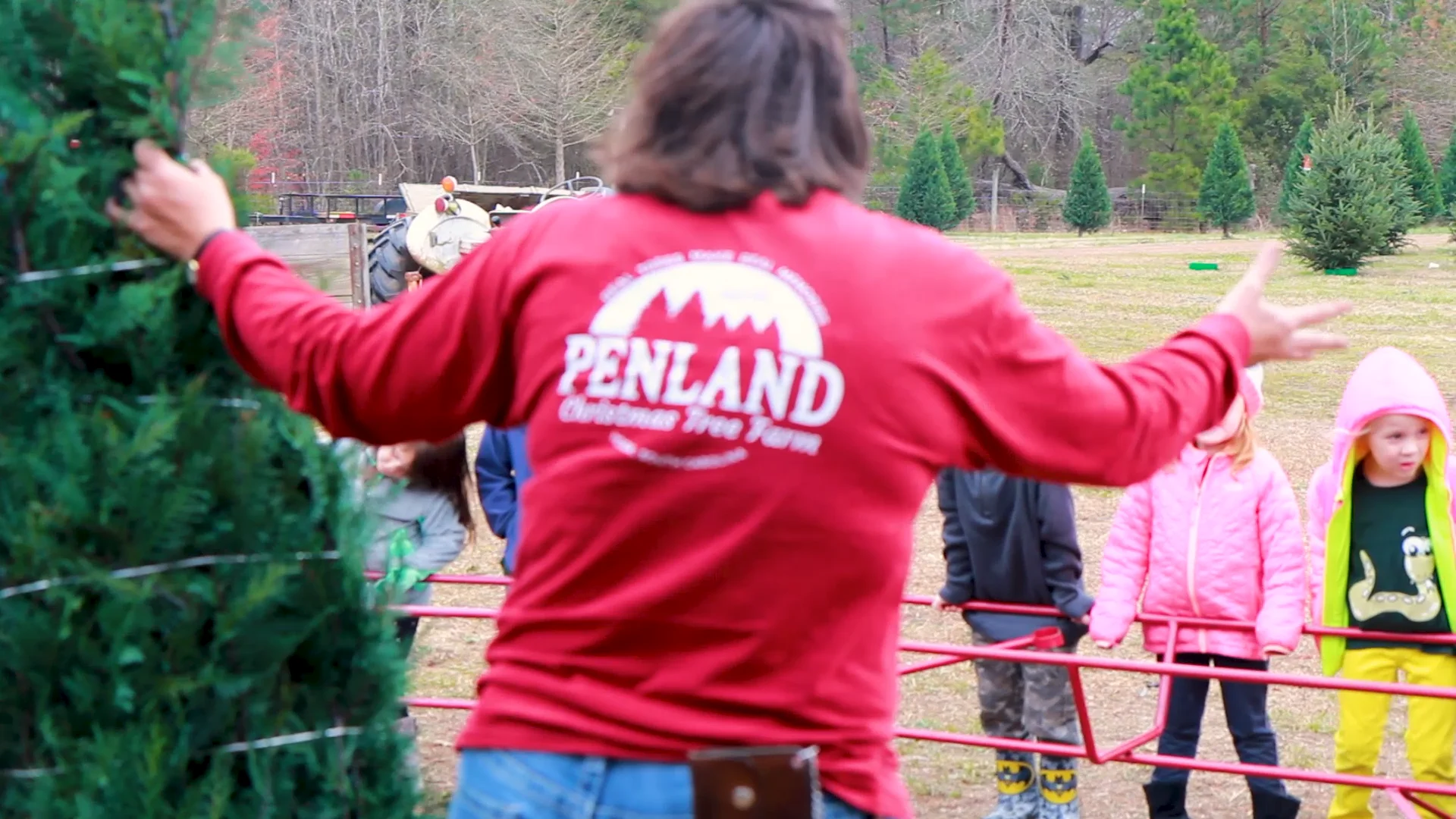 Penland Christmas Tree Farm
