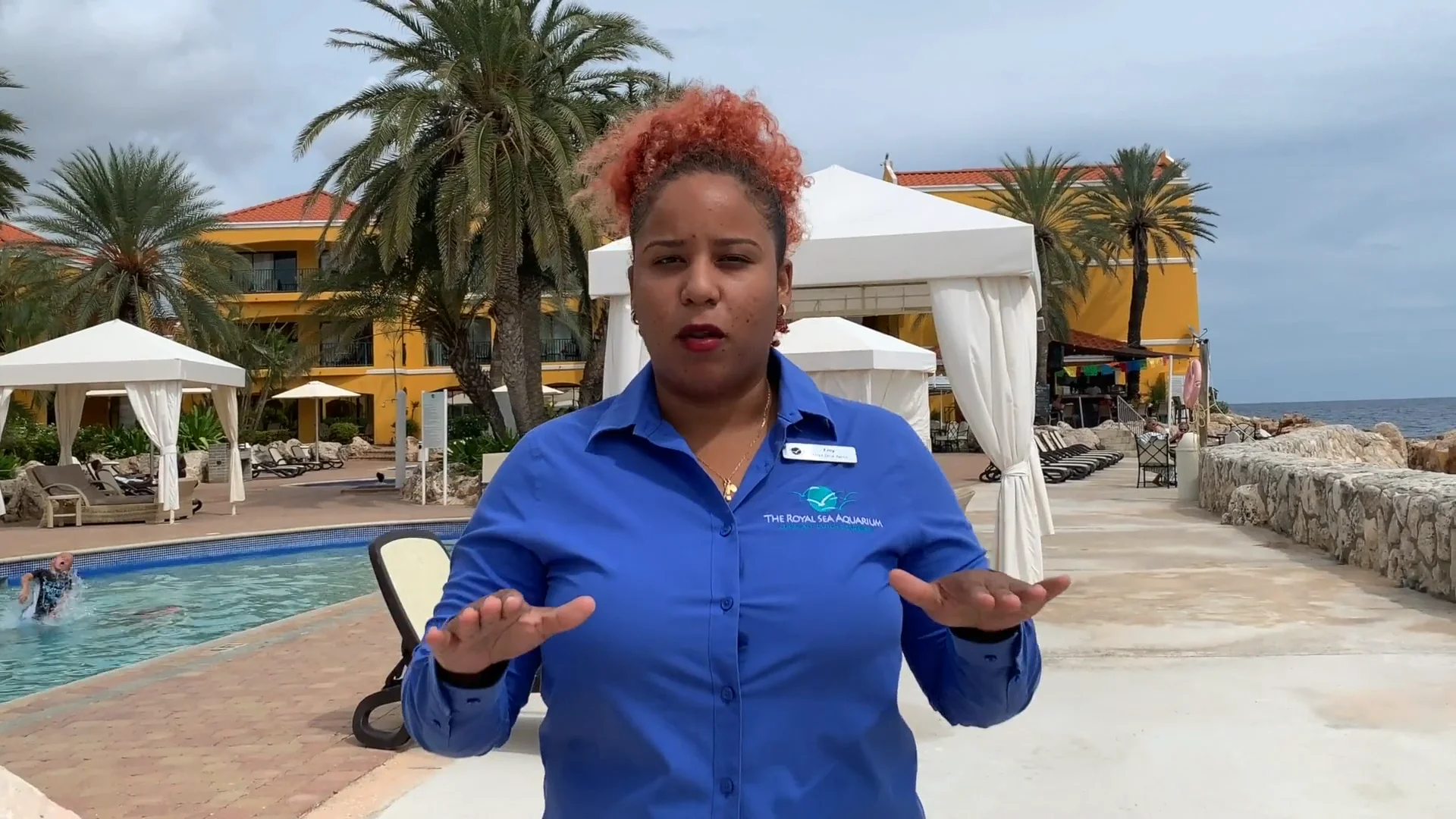 No Plans No Problem - The Royal Sea Aquarium Resort