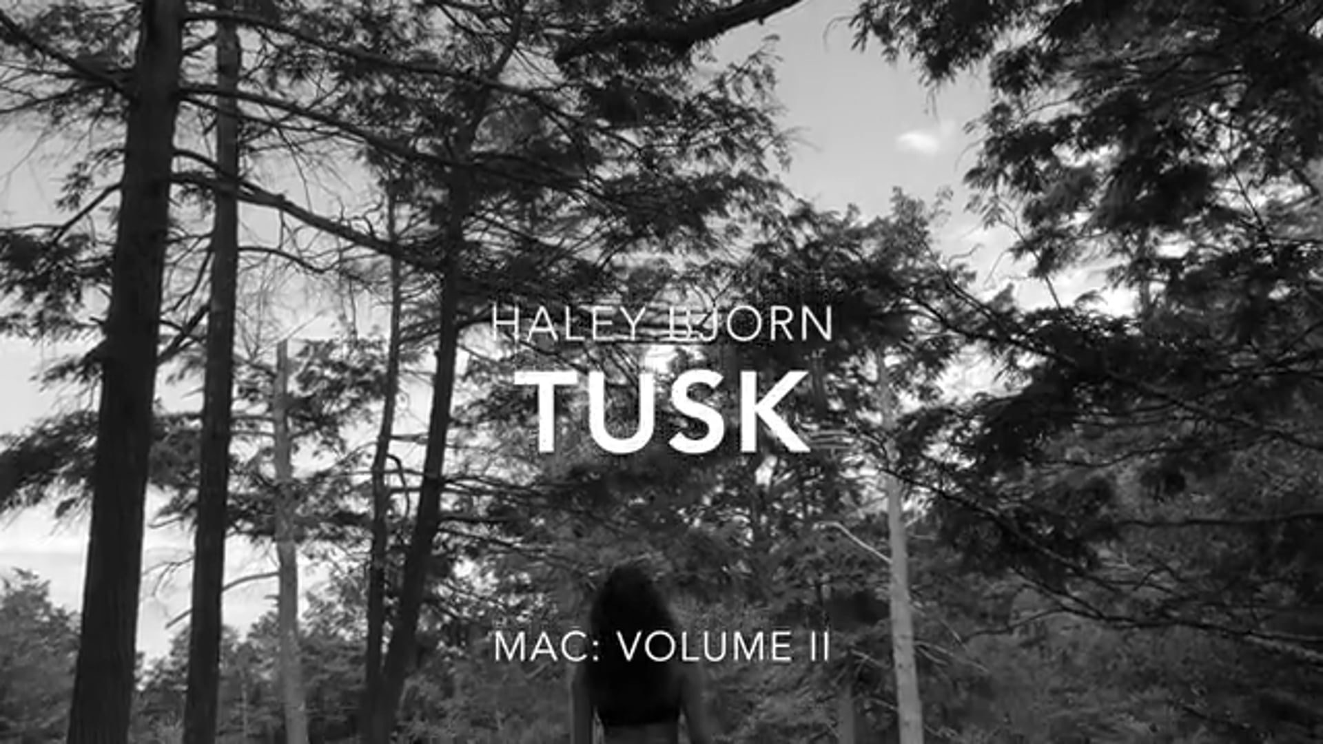 MAC - VOLUME II: TUSK