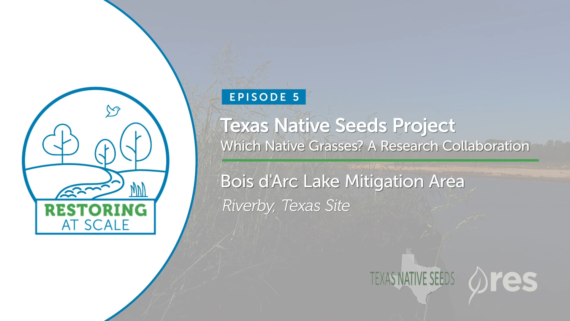 Restoring at Scale: Episode 5 - Texas Native Seeds Project