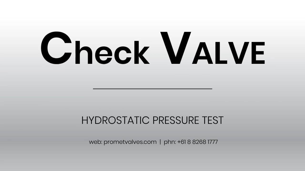 Check Valve Hydrostatic Pressure Test on Vimeo