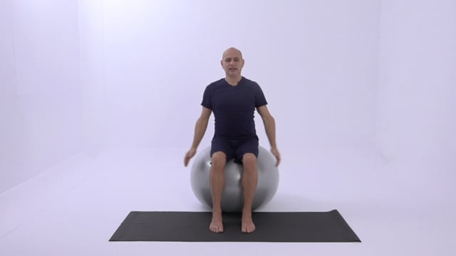 Pilates Plus : with Stability Ball