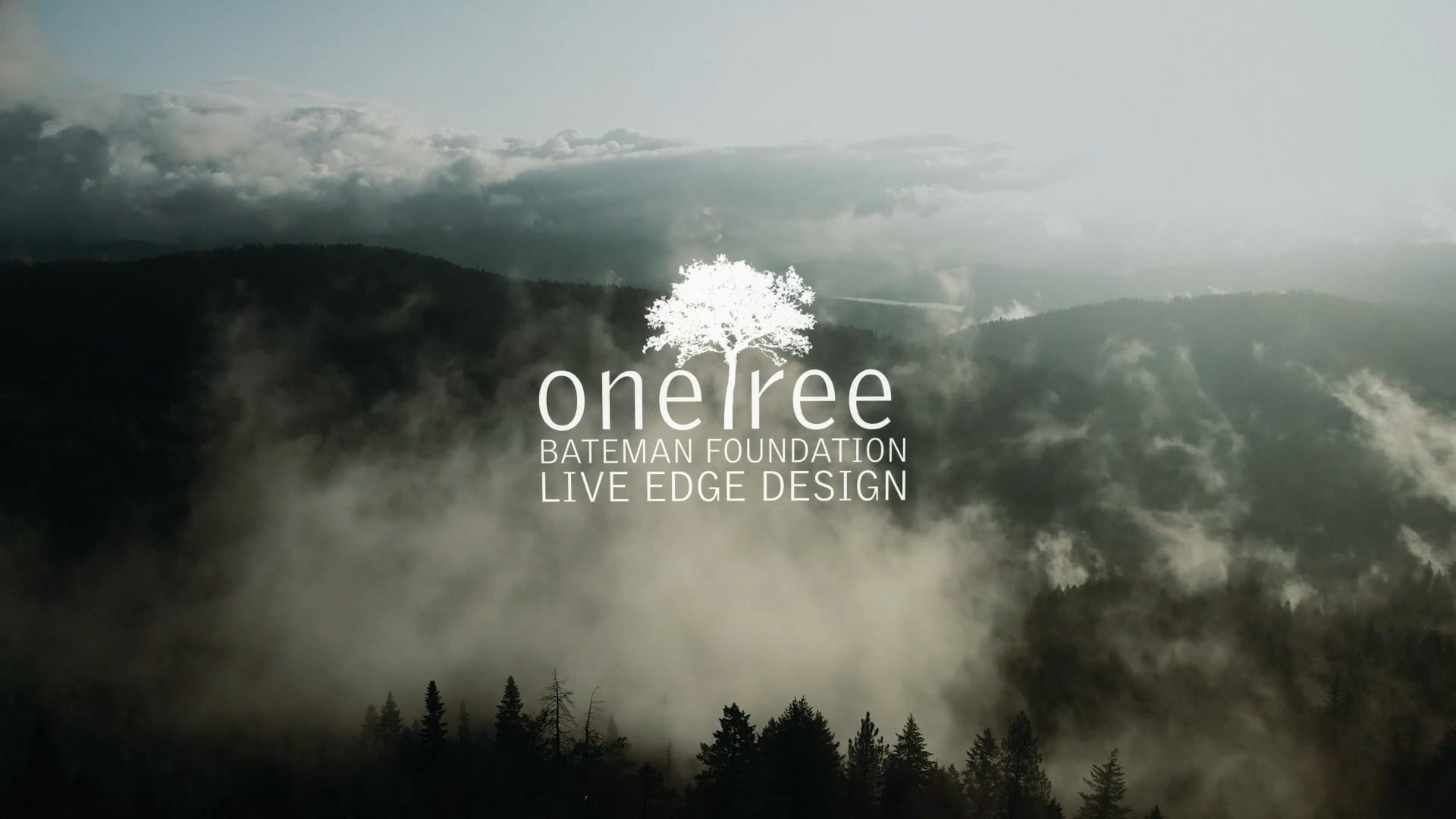 One Tree: Short Film