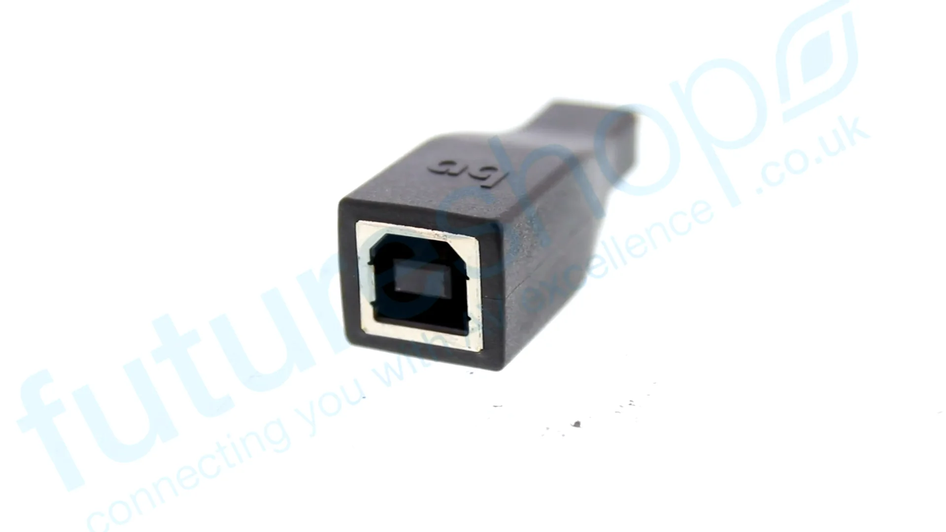 AudioQuest USB B to Micro Adaptor