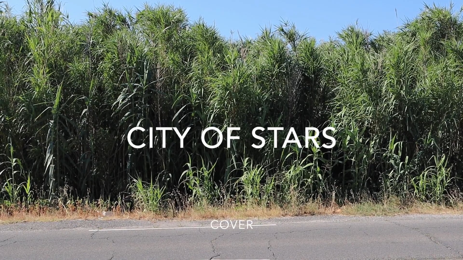 City of stars