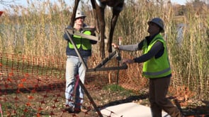 Zoo Sculptures