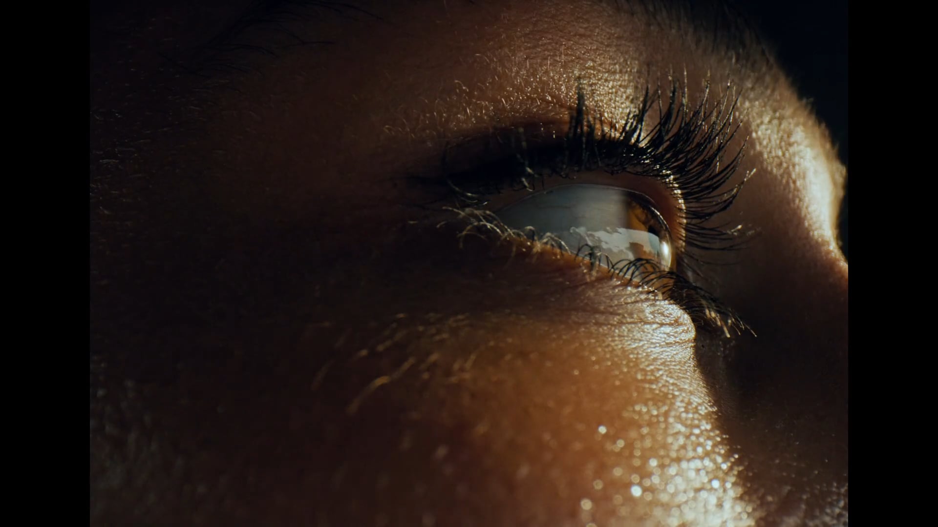 Bose - It's Beautiful Up Here