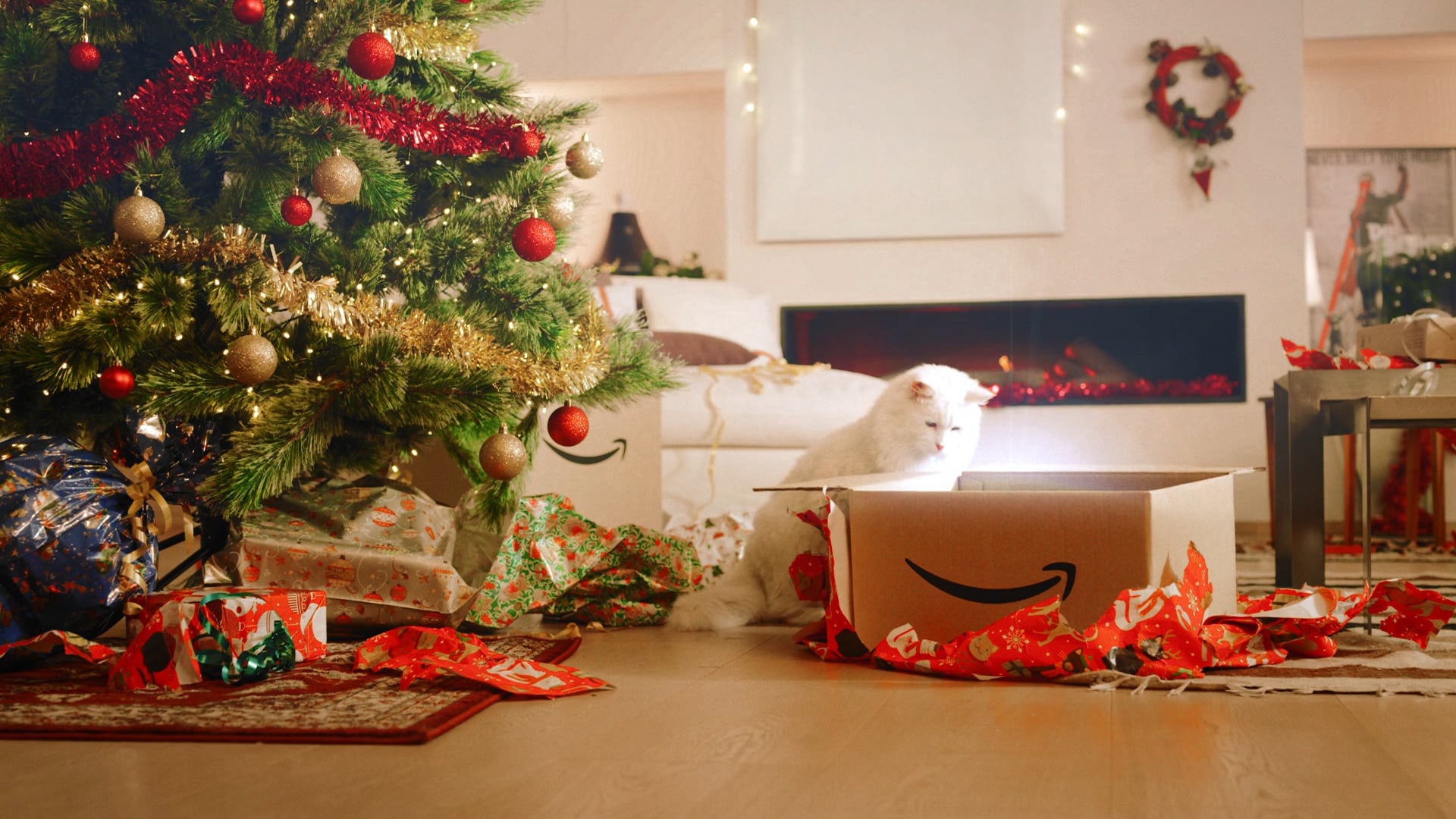 Amazon prime video - The cat - adv 60''