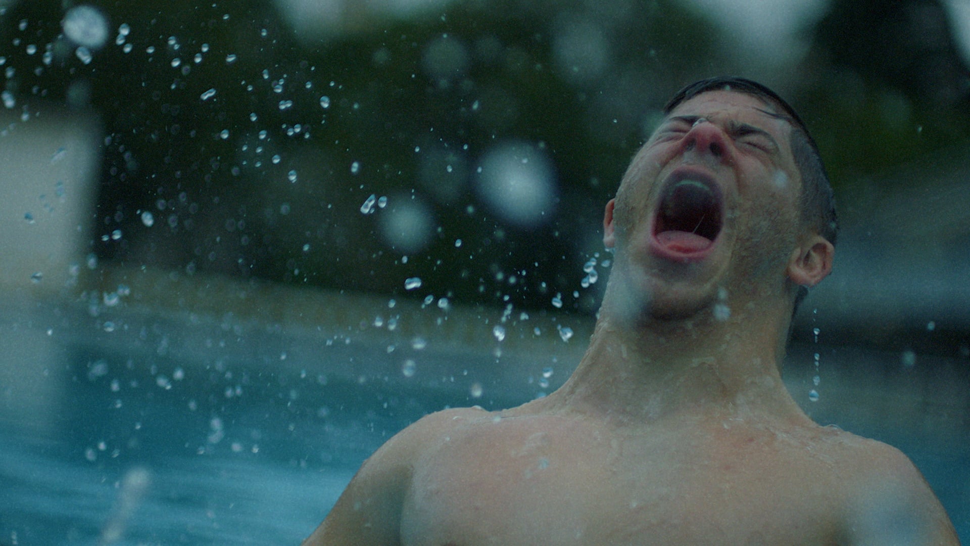 banco do brasil "recomeçar"