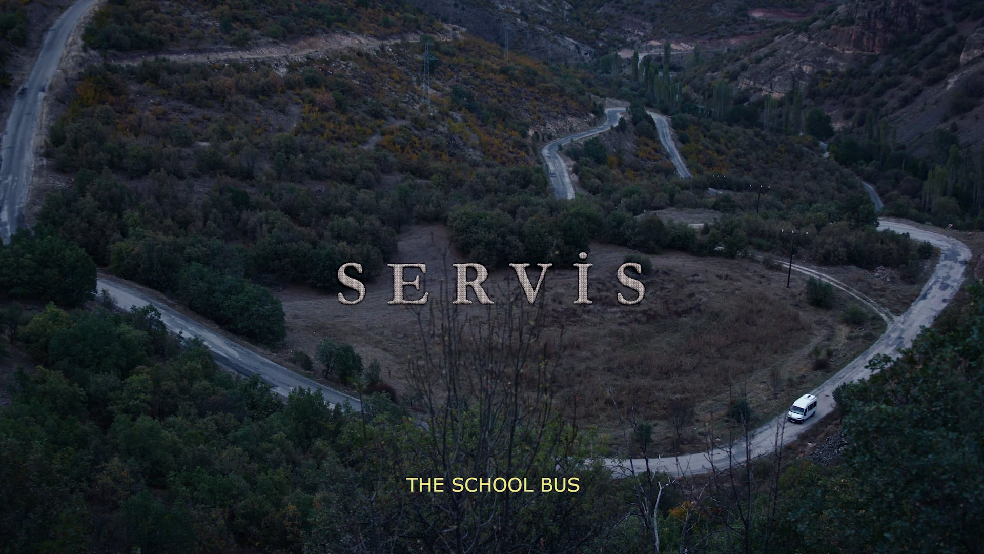 The School Bus Trailer