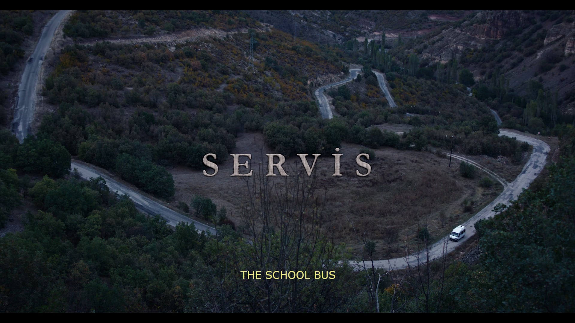 The School Bus Trailer